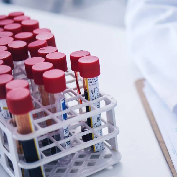 Laboratory Services-31